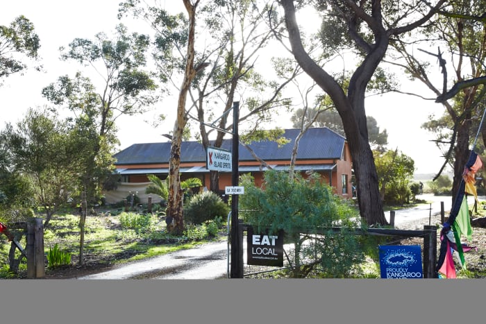 KISpirits_ 15 - GALLERY.jpg